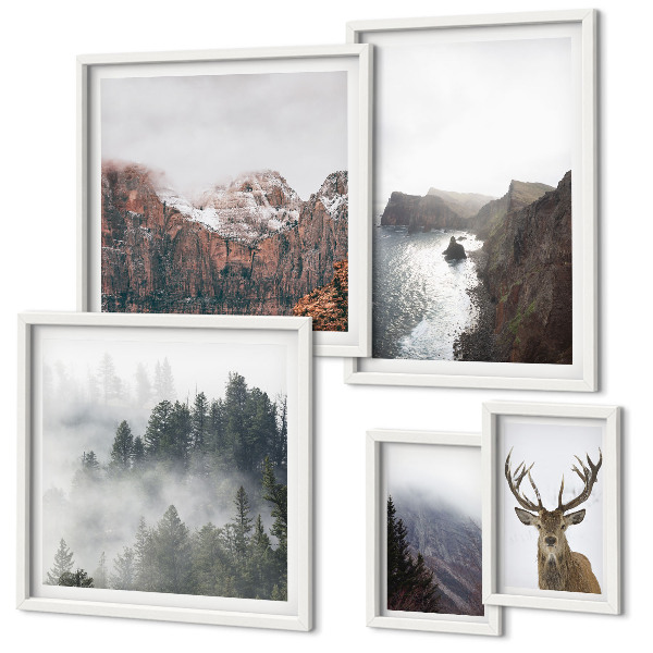 Set di 5 quadri Paesaggi faunistici