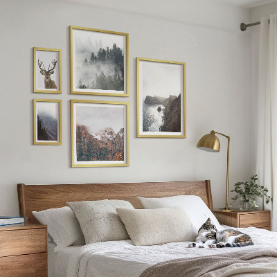 Set di 5 quadri Paesaggi faunistici