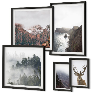 Set di 5 quadri Paesaggi faunistici