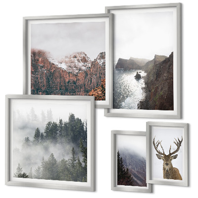 Set di 5 quadri Paesaggi faunistici