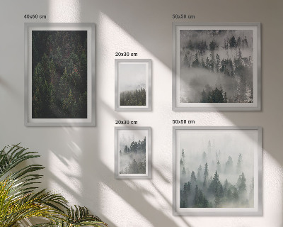 Set di quadri incorniciati Foreste verdi di paesaggi nebbiosi