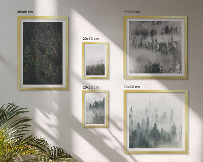 Set di quadri incorniciati Foreste verdi di paesaggi nebbiosi