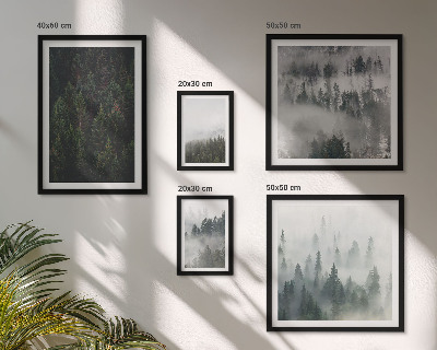 Set di quadri incorniciati Foreste verdi di paesaggi nebbiosi