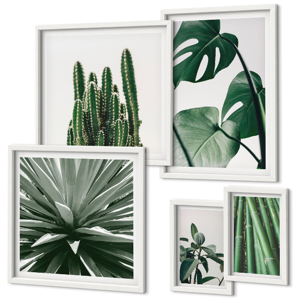 Set di 5 quadri Piante tropicali verdi da interno