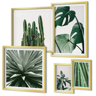 Set di 5 quadri Piante tropicali verdi da interno