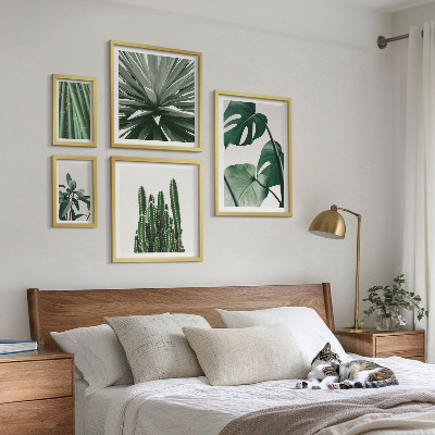 Set di 5 quadri Piante tropicali verdi da interno