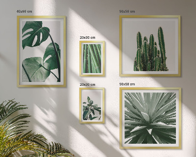 Set di 5 quadri Piante tropicali verdi da interno