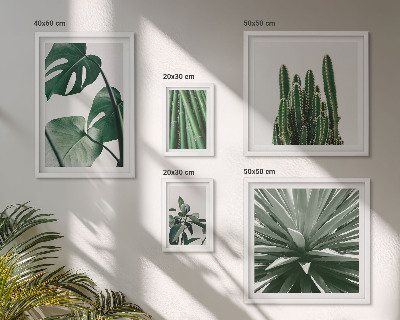 Set di 5 quadri Piante tropicali verdi da interno