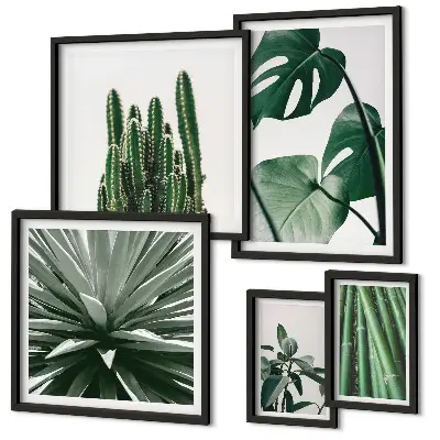 Set di 5 quadri con piante tropicali verdi da interno