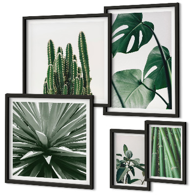 Set di 5 quadri Piante tropicali verdi da interno