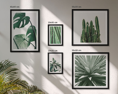 Set di 5 quadri Piante tropicali verdi da interno