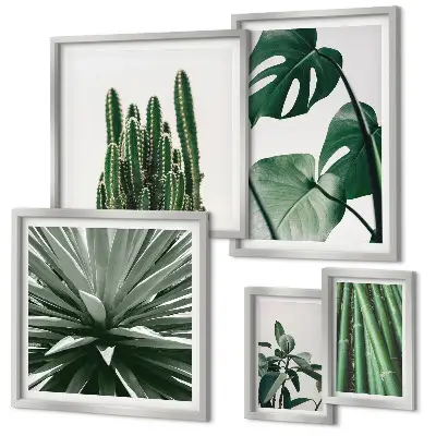 Set di 5 quadri con piante tropicali verdi da interno
