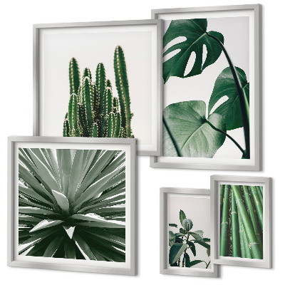Set di 5 quadri Piante tropicali verdi da interno