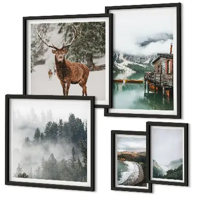 Set di 5 quadri con stampa di natura fauna selvatica e montagne