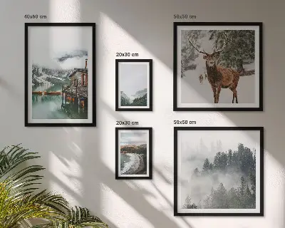 Set di 5 quadri con stampa di natura fauna selvatica e montagne