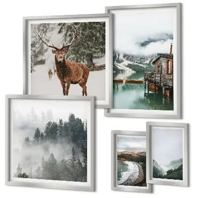 Set di 5 quadri con stampa di natura fauna selvatica e montagne