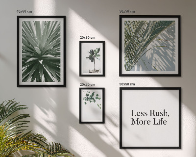 Set di 5 quadri Decorazioni moderne con foglie verdi