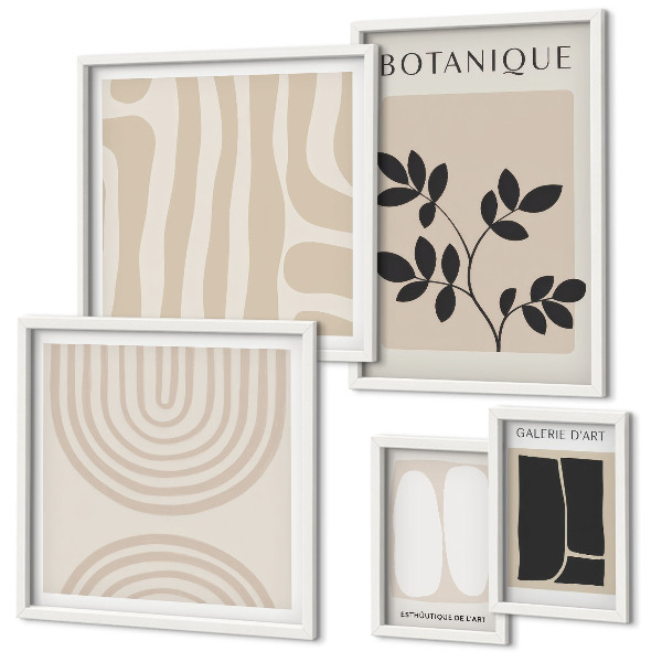 Set di 5 quadri Eleganti grafiche vegetali