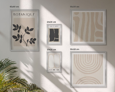 Set di 5 quadri Eleganti grafiche vegetali