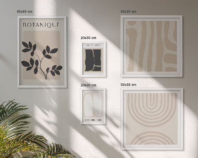 Set di 5 quadri Eleganti grafiche vegetali