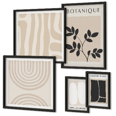 Set di 5 quadri Eleganti grafiche vegetali