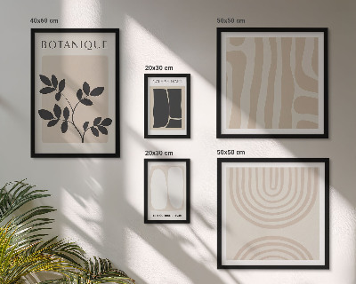 Set di 5 quadri Eleganti grafiche vegetali