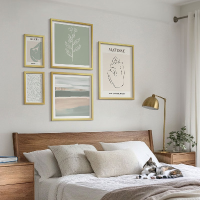 Set di 5 quadri Eleganti grafiche vegetali