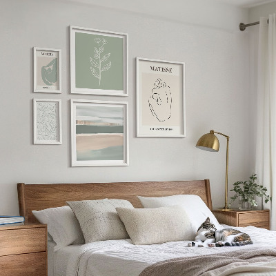 Set di 5 quadri Eleganti grafiche vegetali