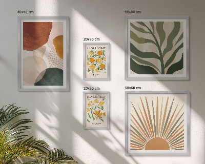 Set di 5 quadri Grafica vegetale elegante con geometria