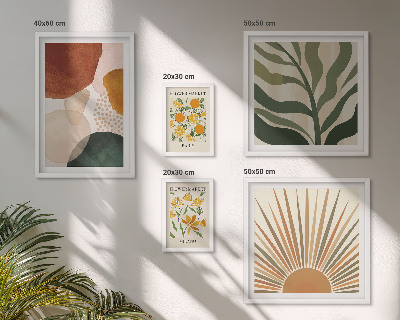 Set di 5 quadri Grafica vegetale elegante con geometria