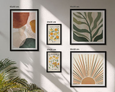 Set di 5 quadri Grafica vegetale elegante con geometria