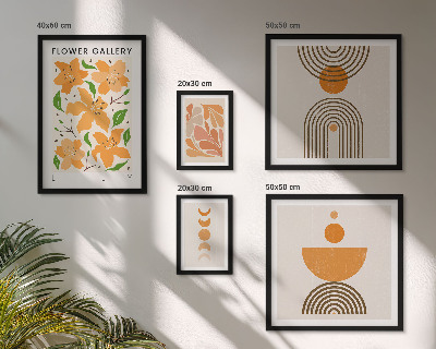 Set di 5 quadri Fiori e geometrie eleganti