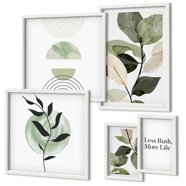 Set di 5 quadri Eleganti grafiche per interni di piante