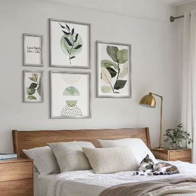 Set di 5 quadri Eleganti grafiche per interni di piante