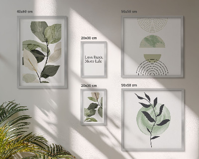 Set di 5 quadri Eleganti grafiche per interni di piante