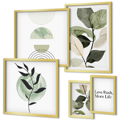 Set di 5 quadri Eleganti grafiche per interni di piante