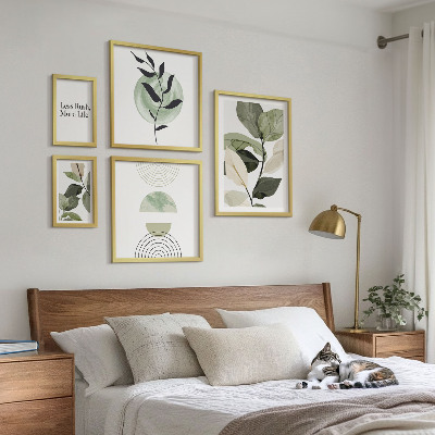 Set di 5 quadri Eleganti grafiche per interni di piante