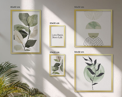 Set di 5 quadri Eleganti grafiche per interni di piante