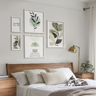 Set di 5 quadri Eleganti grafiche per interni di piante