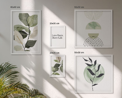 Set di 5 quadri Eleganti grafiche per interni di piante