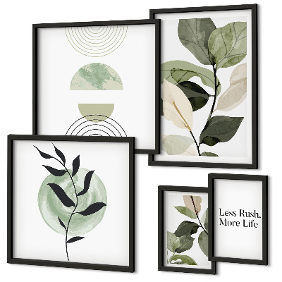 Set di 5 quadri Eleganti grafiche per interni di piante