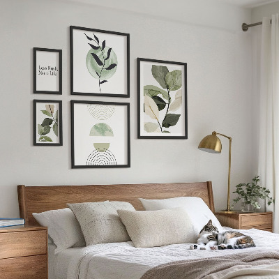 Set di 5 quadri Eleganti grafiche per interni di piante