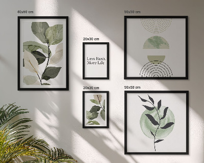 Set di 5 quadri Eleganti grafiche per interni di piante