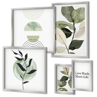 Set di 5 quadri Eleganti grafiche per interni di piante