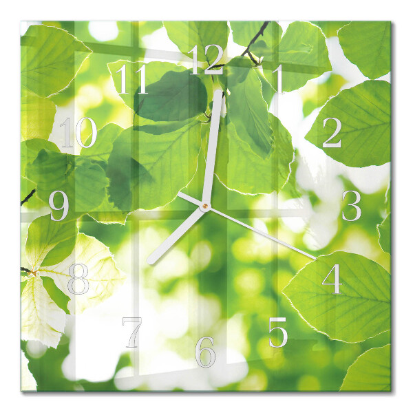 Quadrato orologio Foglie