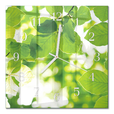 Quadrato orologio Foglie