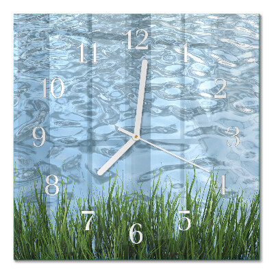 Orologio da parete quadrato Erba acqua