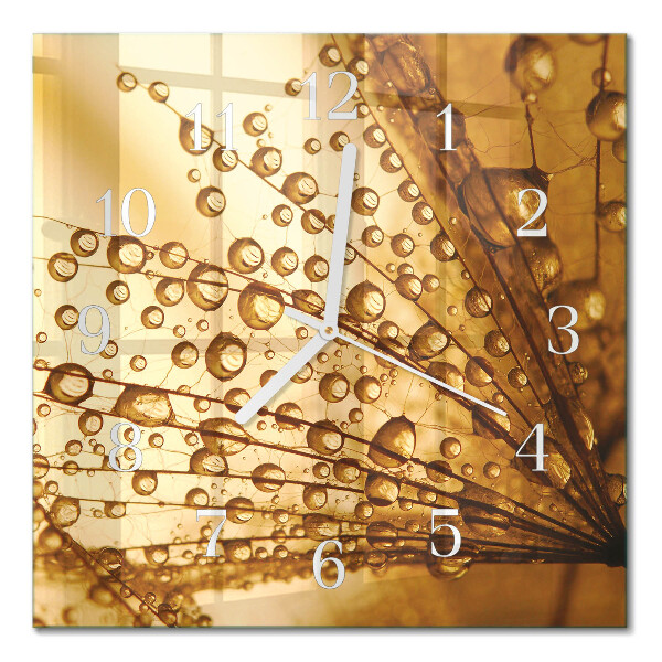 Quadrato orologio Dente di leone