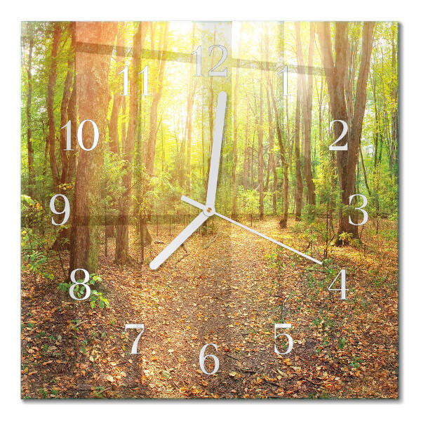 Quadrato orologio Sentiero nel bosco
