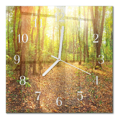 Quadrato orologio Sentiero nel bosco